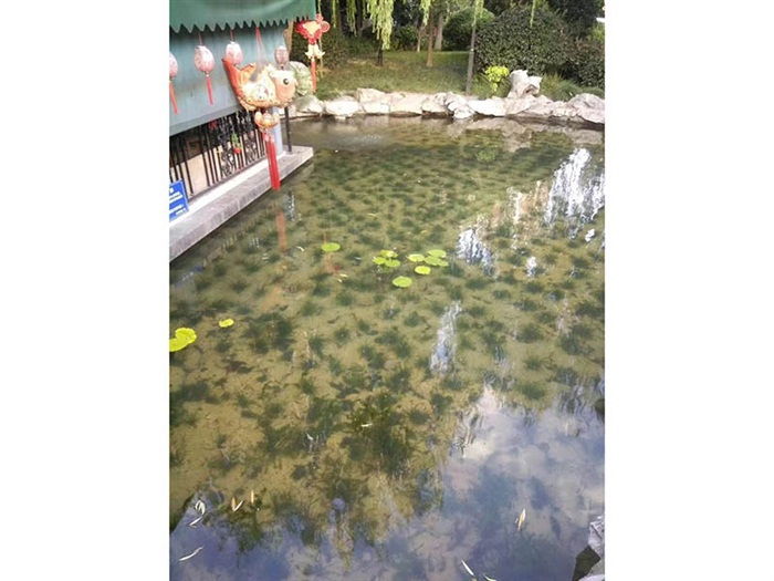 工程案例